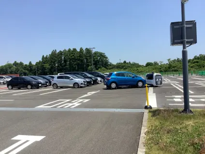 Kasyno Lab Aplikacja mobilna